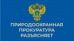 Саратовская межрайонная природоохранная прокуратура разъясняет изменения, внесенные в лесное законодательство