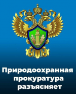 Изменения внесенные в законодательство об отходах