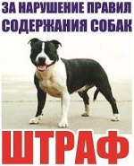 Собаки без привязи – это не просто нарушение, но и опасность для окружающих