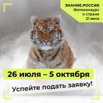 Любовь к Родине через фотографию