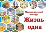 Подведены итоги муниципального конкурса «Жизнь одна!»