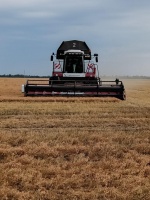 Вести с полей.