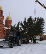 Установлена «главная» елка района