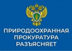 Прокуратура разъясняет
