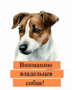 Собаки без привязи – это не просто нарушение, но и опасность для окружающих