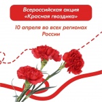 Всероссийская акция «Красная гвоздика» 
