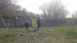 Новое ограждение территорий памятников 