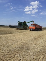 Уборка урожая