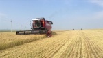 Уборочная страда
