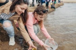 В Гагаринском районе в Волгу выпустили 26 тысяч мальков акции «Водорослям крышка!»