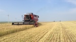 Уборочная страда