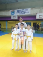 Открытое первенство по дзюдо