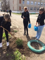 Школьная акция "Зеленая память".