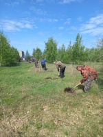 В р.п.Духовницкое продолжается благоустройство территории. 
