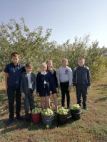 Благодарность