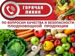 Горячая линия 2021