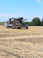 Глава района Сергей Вербин посетил фермерское хозяйство ип Медведева Валерия Петровича в с.Брыковка.