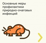 О профилактике природно-очаговых инфекций