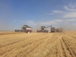 На полях района продолжаются уборочные работы. 