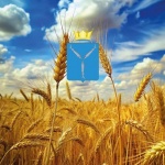 Приглашаем подписаться!