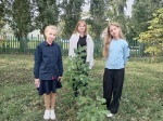 Удивительное рядом