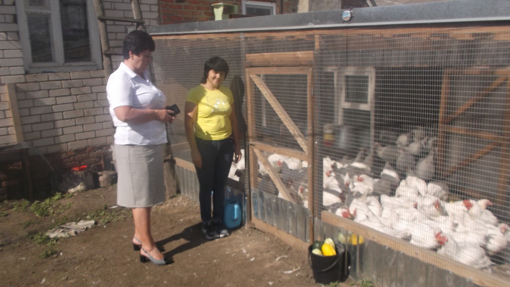 грант куры.JPG