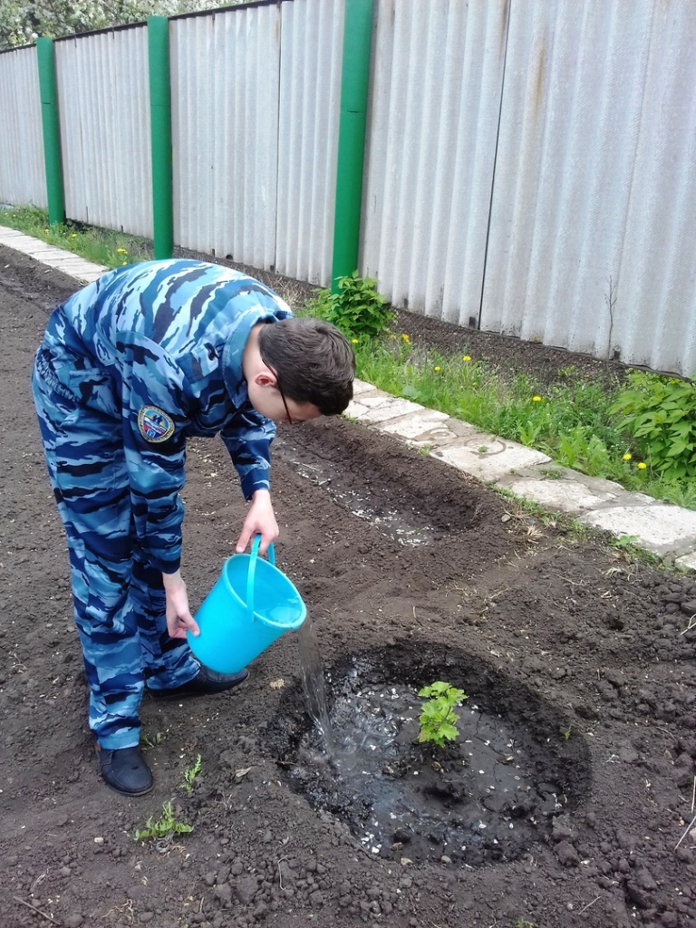 сад памяти дома1.jpg