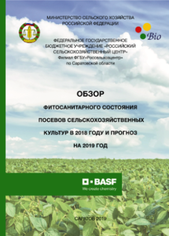 обложка.png