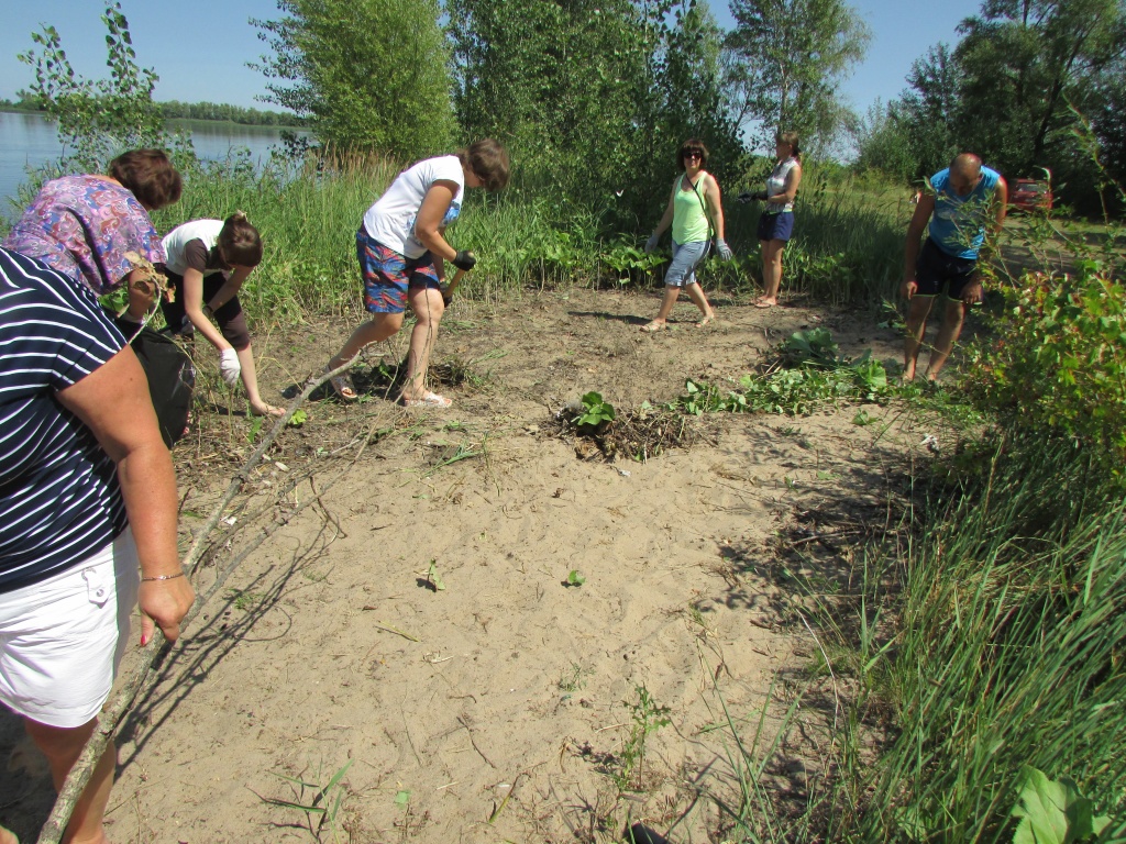 Убираем сорняки.JPG