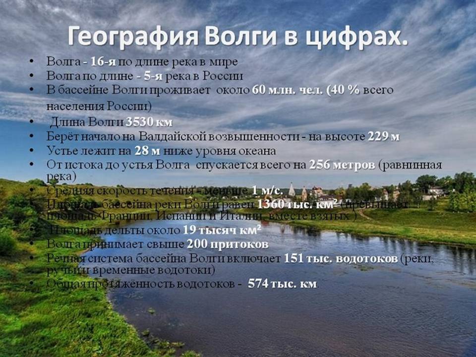 Слайд10.JPG