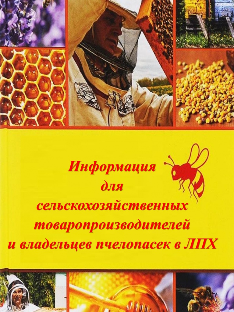 Информация.jpg Информация.jpg