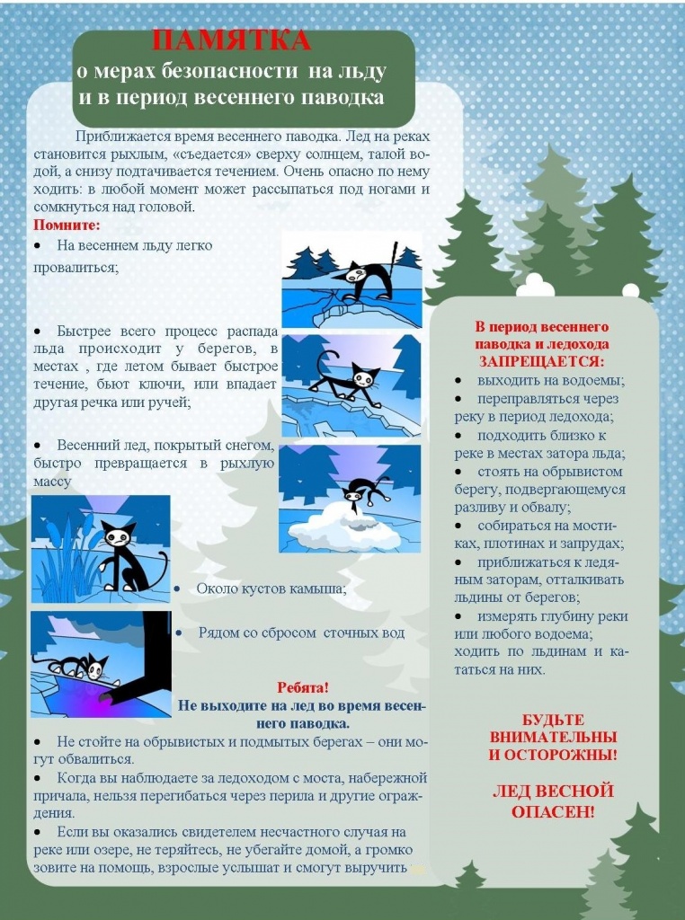 безвеспав.JPG