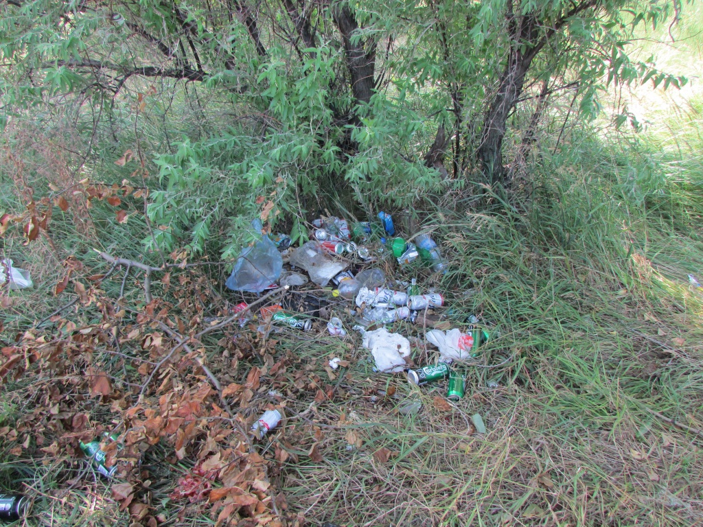 На такой пляж мы приехали.JPG