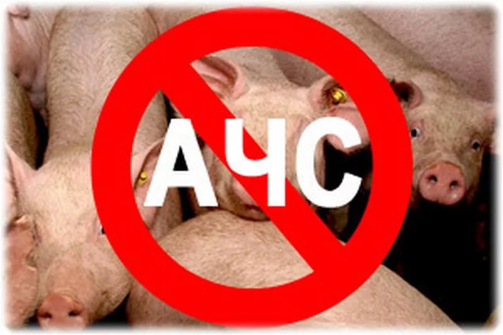 achs.jpg