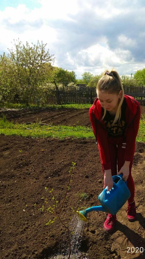 сад памяти дома.jpg