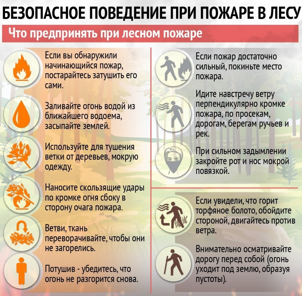 Безопасное поведение при пожаре в лесу.jpg