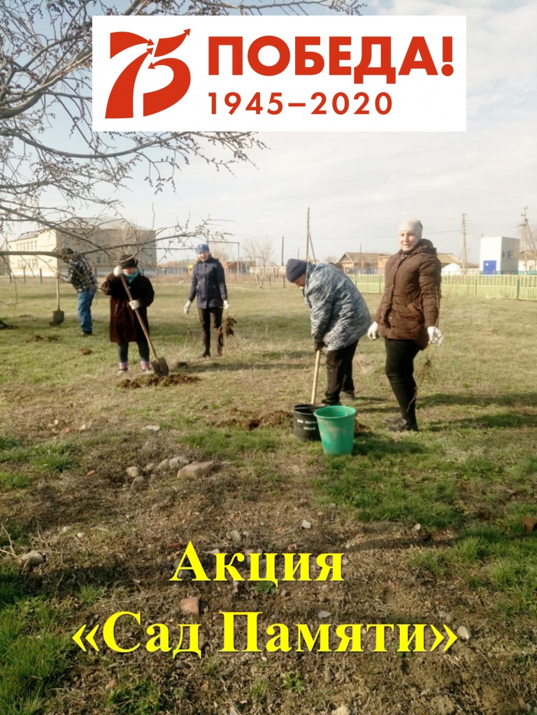 Сад Новозахаркино.jpg