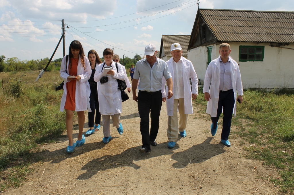 заглавная.jpg